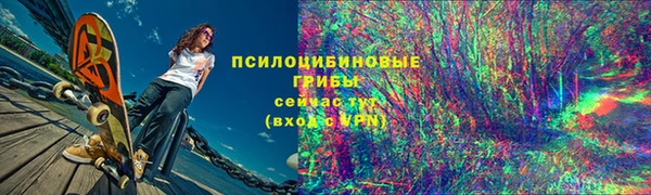 ПСИЛОЦИБИНОВЫЕ ГРИБЫ Верхний Тагил