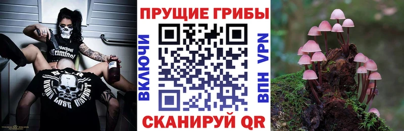 купить наркотик  Ноябрьск  Галлюциногенные грибы GOLDEN TEACHER 